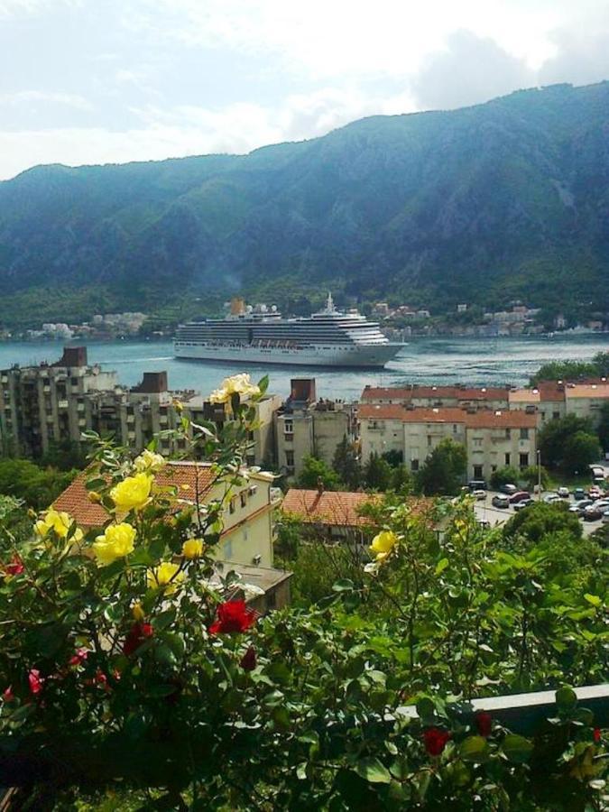 Apartment Aki Kotor Ngoại thất bức ảnh
