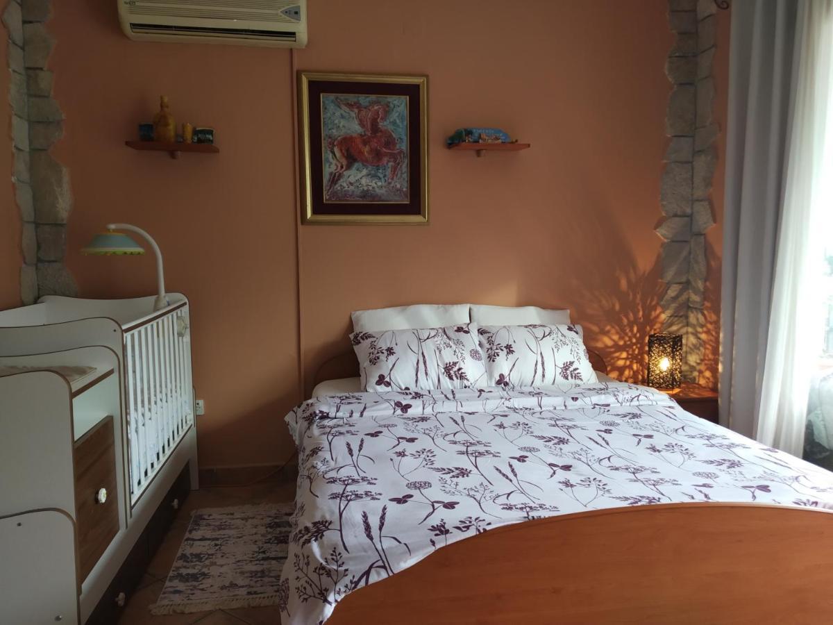 Apartment Aki Kotor Ngoại thất bức ảnh