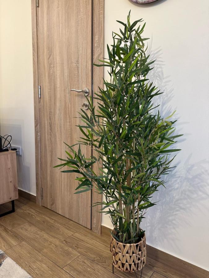 Apartment Aki Kotor Ngoại thất bức ảnh